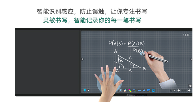 智慧小蝌蚪导航在线观看视频